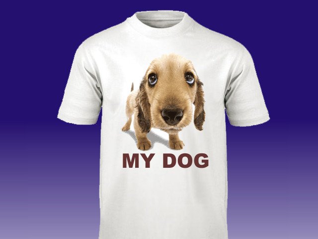 T Shirt Druck von Ronny.de